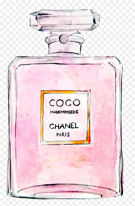 coco chanel perfume drawing